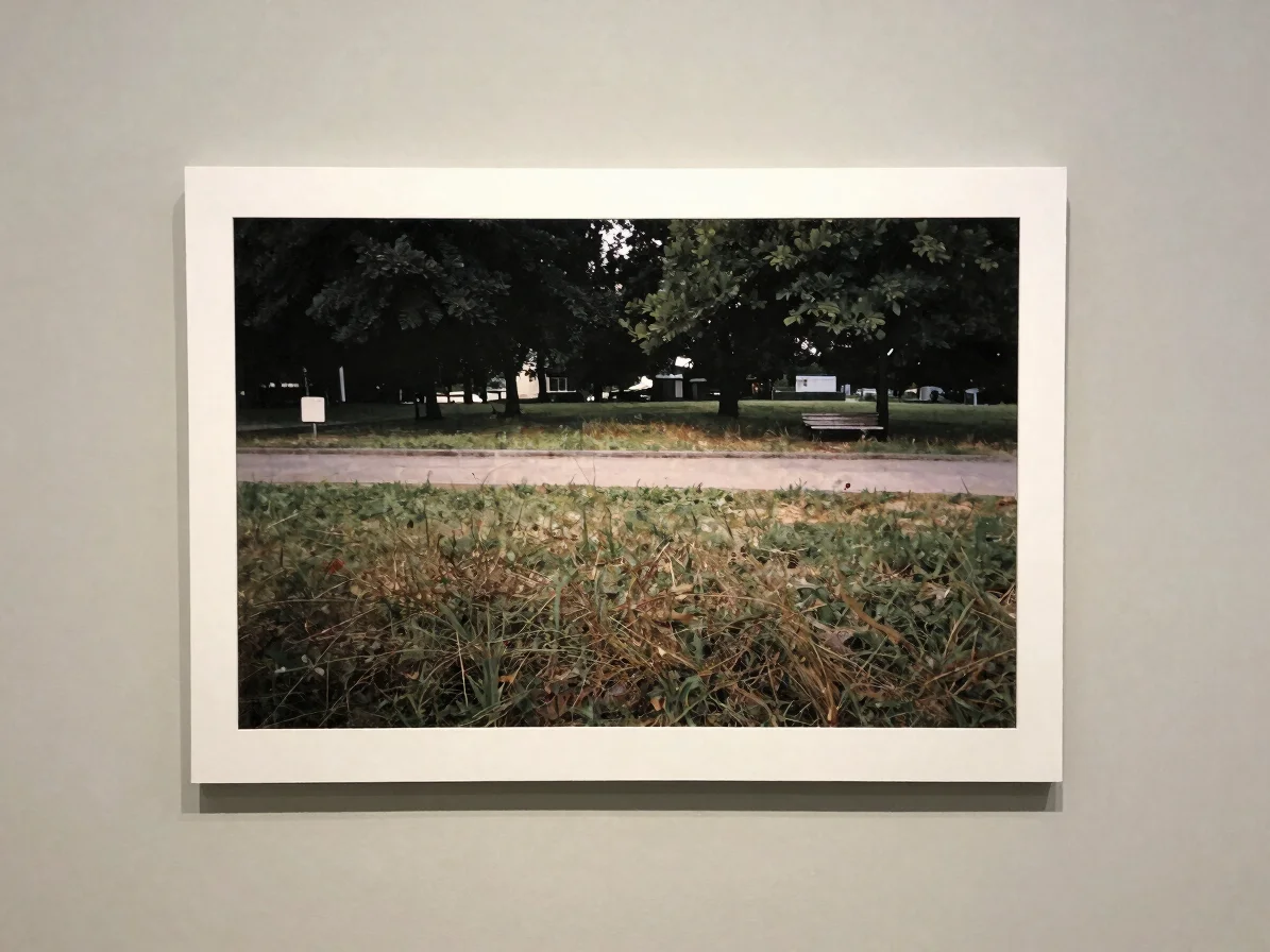Large, direct gallery view of a single photograph hung on a pale